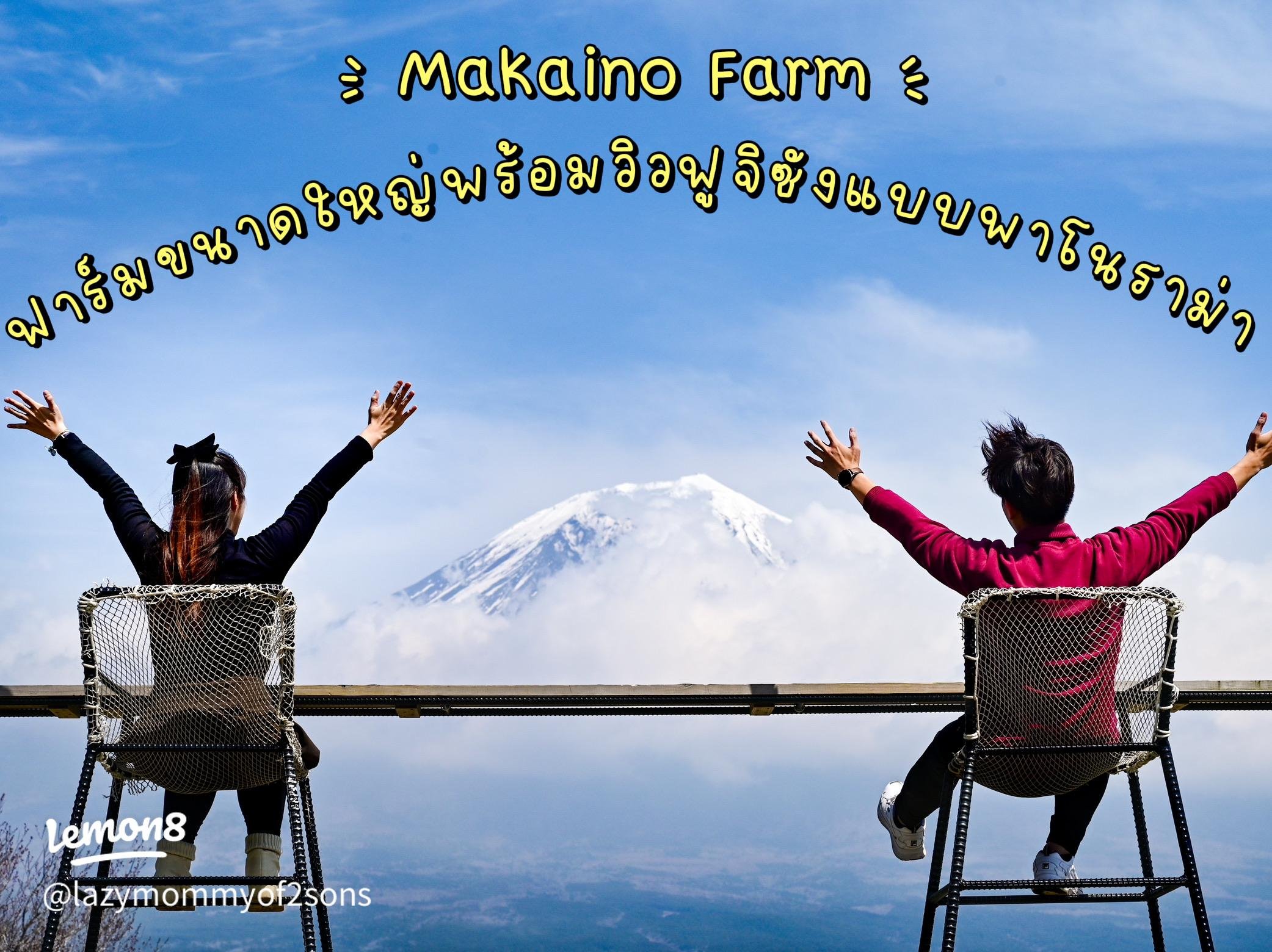 🏞️ 마카이노 목장(마카이노보쿠조) 이미지 5